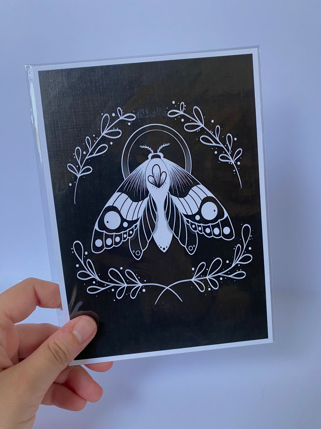 Moth Print