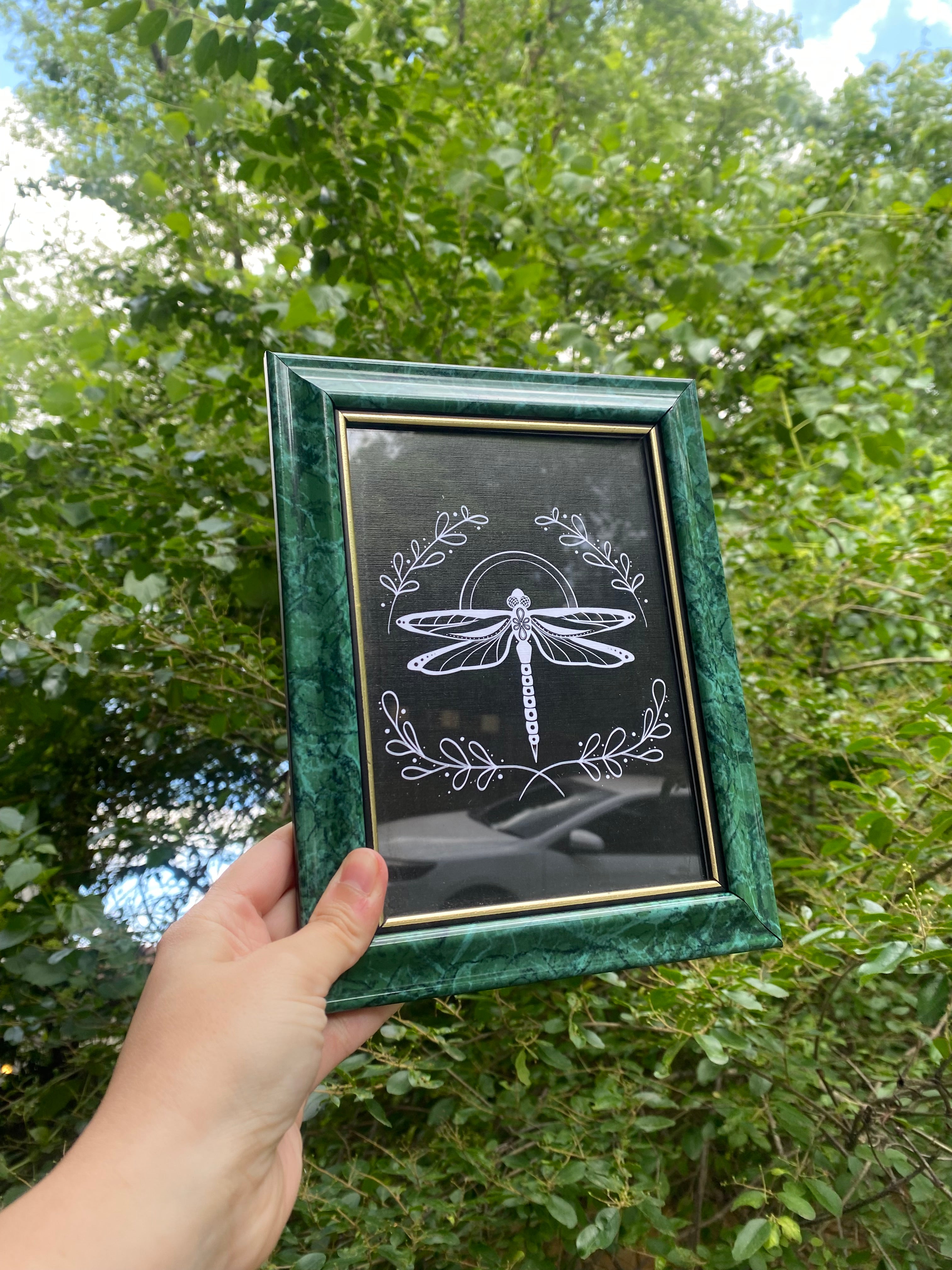 Framed Dragonfly Print