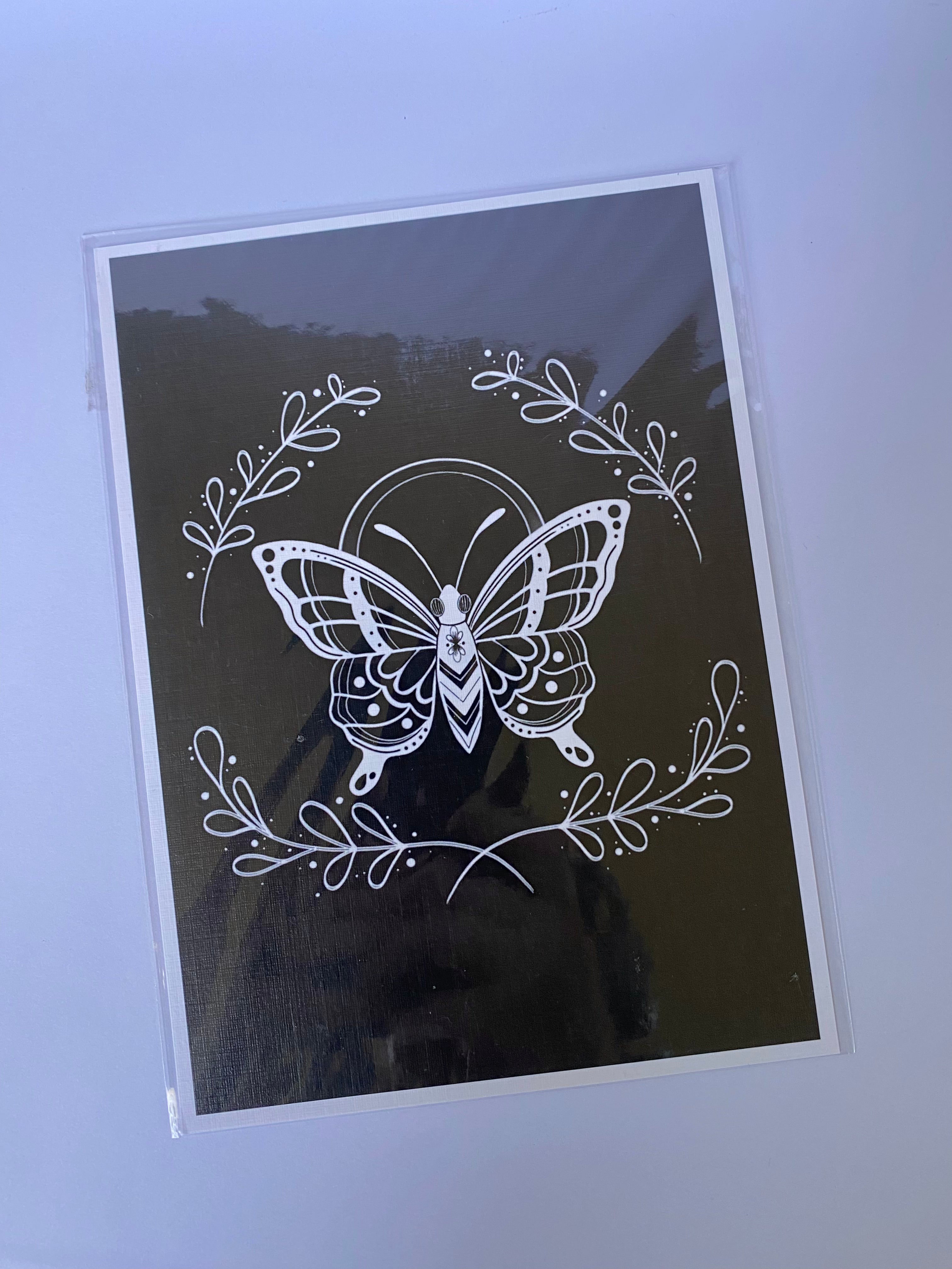 Butterfly Print