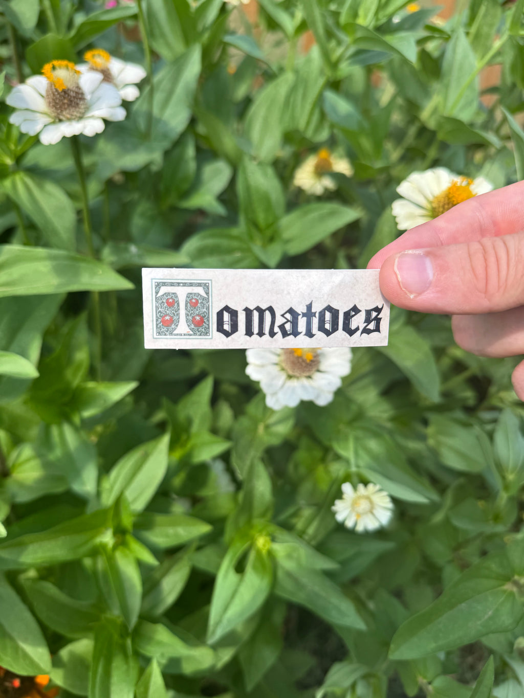 Tomatos Sticker