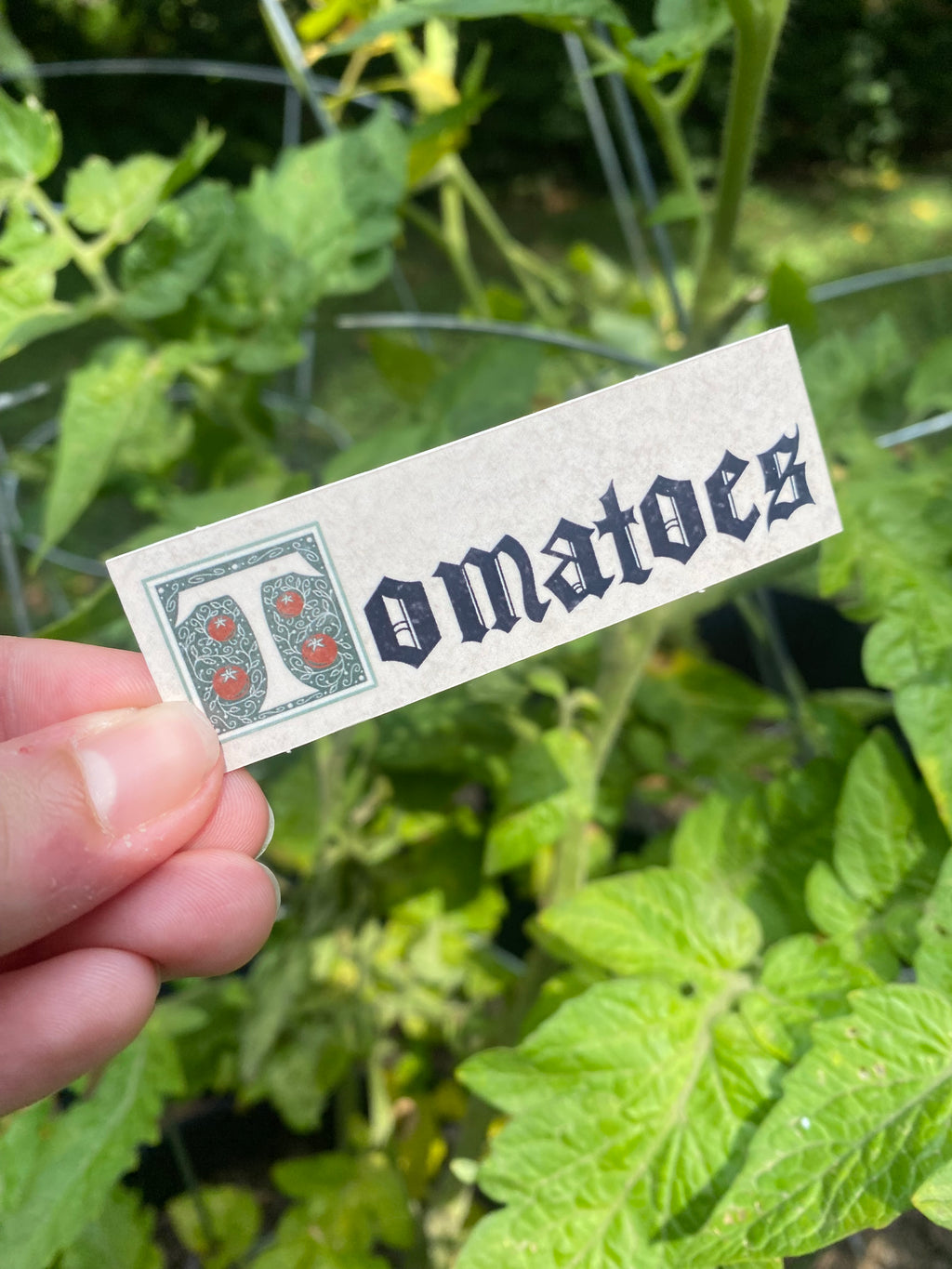 Tomatos Sticker